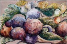 Figues